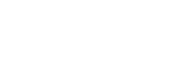 Bison